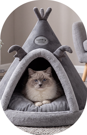 Sponge Pet Bed